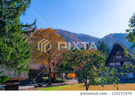 [World Heritage Site] Shirakawa-go in full autumn color [Gifu Prefecture] 120355470
