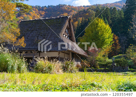 [World Heritage Site] Shirakawa-go in full autumn color [Gifu Prefecture] 120355497