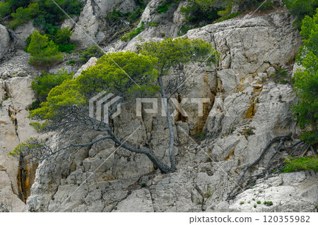 Marseille, France - June 9, 2024 : Calanque of En-Vau on the Coast of Provence, between Cassis and 120355982