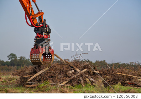 FRANCE, GIRONDE, NAUJAN-ET-POSTIAC, BORDEAUX VINEYARD UPROOTING CAMPAIGN WITH BACKHOE LOADER 120356008