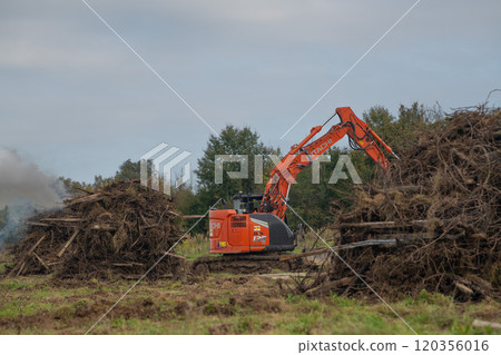 FRANCE, GIRONDE, NAUJAN-ET-POSTIAC, BORDEAUX VINEYARD UPROOTING CAMPAIGN WITH BACKHOE LOADER 120356016