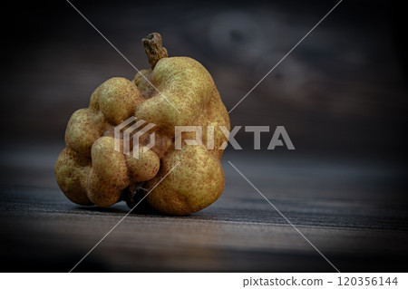 Deformed, malformed or atypical fruit, Pear in studio 120356144