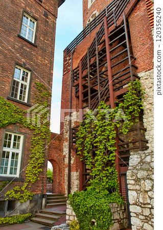 A building made of old red brick with lush green ivy climbing over it on the old Zamek Krolewski na Wawelu castle in the center of Krakow. 120356240