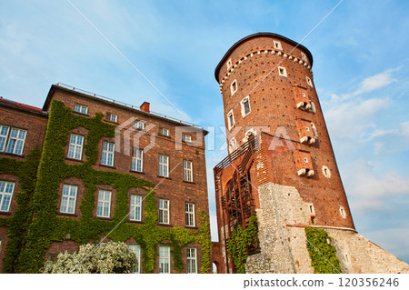 A building made of old red brick with lush green ivy climbing over it on the old Zamek Krolewski na Wawelu castle in the center of Krakow. 120356246