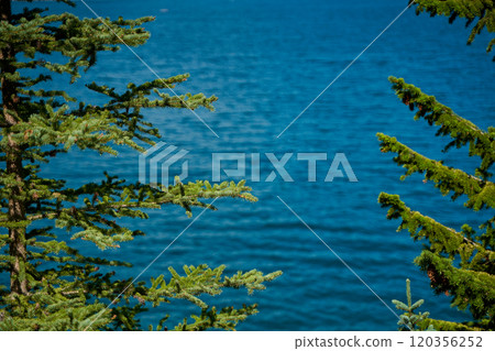 Evergreen pines against the backdrop of the beautiful turquoise Lake Minewanka in the mountains of Banff National Park in Canada Evergreen pines against the backdrop of the beautiful turquoise Lake Minewanka in the mountains of Banff National Park in Canada 120356252