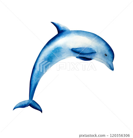 Dolphin jumping. Watercolor hand drawn illustration isolated on background. For designers, postcards, greetings, birthday, calendar, wallpapers, wrapping paper, logo, baby design 120356306