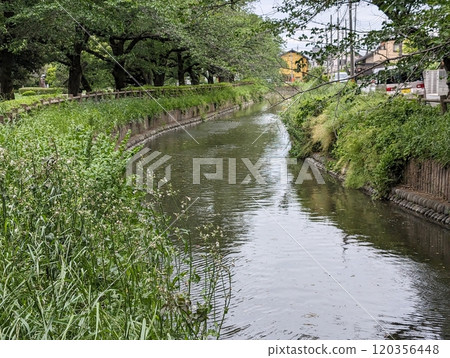 River River 120356448