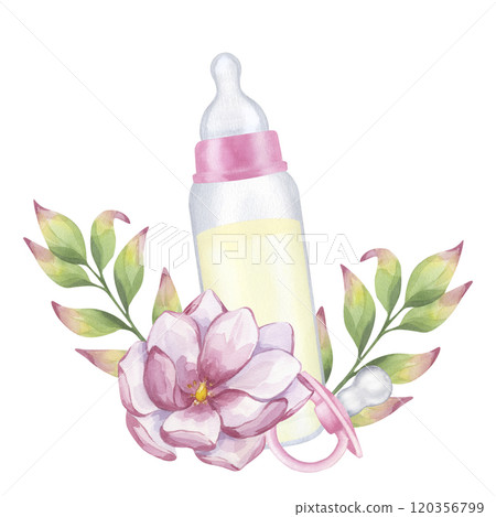 Baby milk bottle, pacifier, pink magnolia flower, leaves. Newborn girl. Infant formula food. Hand drawn watercolor illustration isolated on white background. Gender reveal party, shower, invitation Baby milk bottle, pacifier, pink magnolia flower, leaves. Newborn girl. Infant formula food. Hand drawn watercolor illustration isolated on white background. Gender reveal party, shower, invitation 120356799