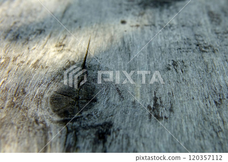 Texture of Weathered Wooden Board Highlighting Natural Fiber Structure in Soft Light Texture of Weathered Wooden Board Highlighting Natural Fiber Structure in Soft Light 120357112