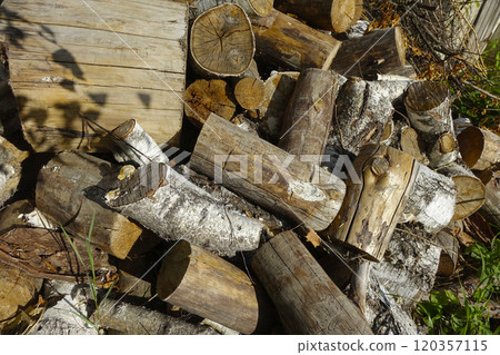 Stacked Birch and Pine Logs Resting in a Garden During a Sunny Afternoon Stacked Birch and Pine Logs Resting in a Garden During a Sunny Afternoon 120357115
