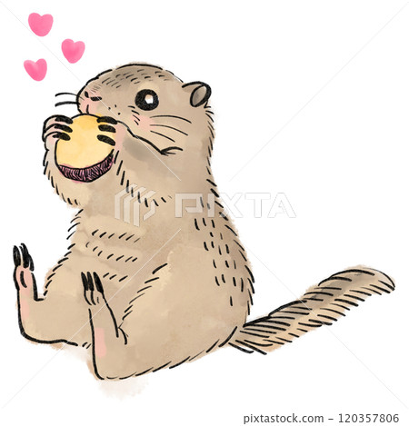 Illustration of a Richardson's ground squirrel eating a sweet potato 120357806