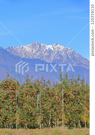 Northern Alps, Tateyama mountain range and apple orchards Northern Alps, Tateyama mountain range and apple orchards 120359110