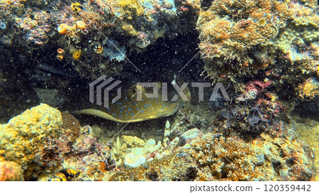 Mabul Island, the base for diving in Sipadan Island, Sabah state in Malaysia. 120359442