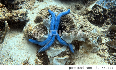Mabul Island, the base for diving in Sipadan Island, Sabah state in Malaysia. Mabul Island, the base for diving in Sipadan Island, Sabah state in Malaysia. 120359445