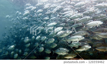 Mabul Island, the base for diving in Sipadan Island, Sabah state in Malaysia. Mabul Island, the base for diving in Sipadan Island, Sabah state in Malaysia. 120359462
