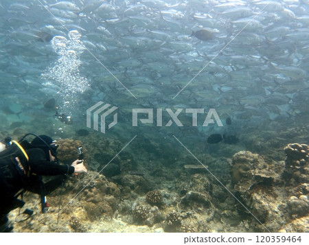 Mabul Island, the base for diving in Sipadan Island, Sabah state in Malaysia. 120359464