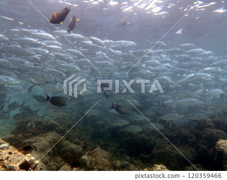 Mabul Island, the base for diving in Sipadan Island, Sabah state in Malaysia. Mabul Island, the base for diving in Sipadan Island, Sabah state in Malaysia. 120359466