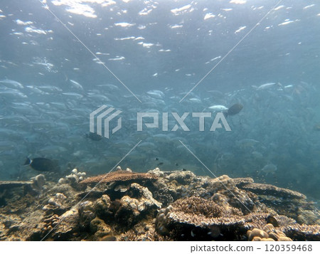 Mabul Island, the base for diving in Sipadan Island, Sabah state in Malaysia. 120359468