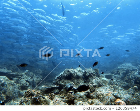 Mabul Island, the base for diving in Sipadan Island, Sabah state in Malaysia. Mabul Island, the base for diving in Sipadan Island, Sabah state in Malaysia. 120359474