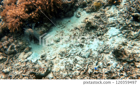 Mabul Island, the base for diving in Sipadan Island, Sabah state in Malaysia. Mabul Island, the base for diving in Sipadan Island, Sabah state in Malaysia. 120359497