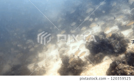 Mabul Island, the base for diving in Sipadan Island, Sabah state in Malaysia. 120359525