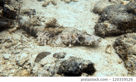 Mabul Island, the base for diving in Sipadan Island, Sabah state in Malaysia. Mabul Island, the base for diving in Sipadan Island, Sabah state in Malaysia. 120359526