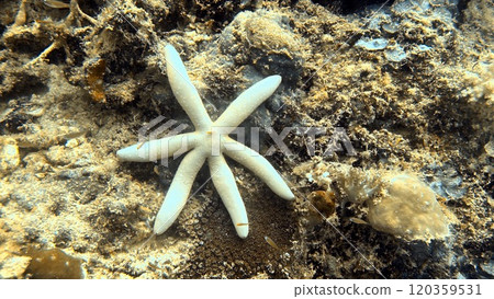 Mabul Island, the base for diving in Sipadan Island, Sabah state in Malaysia. 120359531