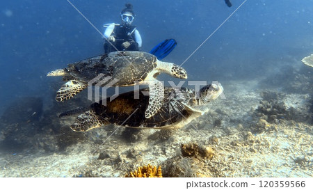Mabul Island, the base for diving in Sipadan Island, Sabah state in Malaysia. Mabul Island, the base for diving in Sipadan Island, Sabah state in Malaysia. 120359566