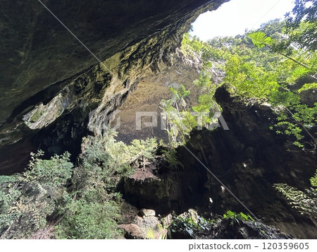 DEER Cave - Show cave tour at Gunung Mulu National Park 120359605