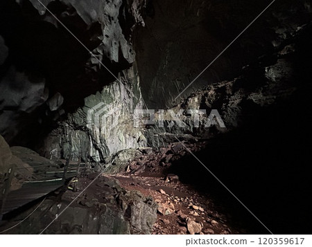 DEER Cave - Show cave tour at Gunung Mulu National Park DEER Cave - Show cave tour at Gunung Mulu National Park 120359617