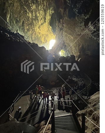 DEER Cave - Show cave tour at Gunung Mulu National Park 120359619