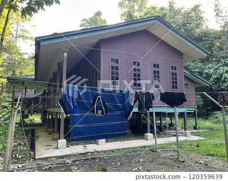 DEER Cave - Show cave tour at Gunung Mulu National Park DEER Cave - Show cave tour at Gunung Mulu National Park 120359639