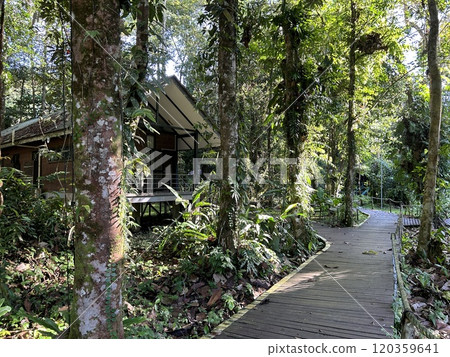 DEER Cave - Show cave tour at Gunung Mulu National Park DEER Cave - Show cave tour at Gunung Mulu National Park 120359641