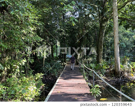 DEER Cave - Show cave tour at Gunung Mulu National Park DEER Cave - Show cave tour at Gunung Mulu National Park 120359643