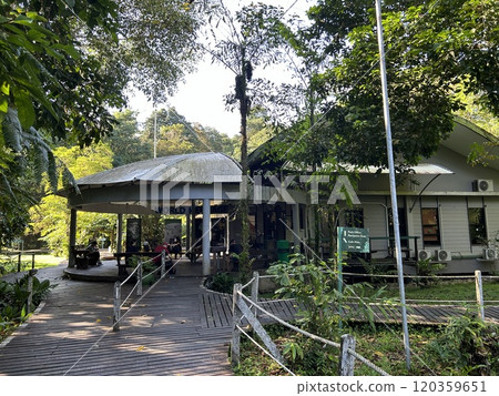 DEER Cave - Show cave tour at Gunung Mulu National Park DEER Cave - Show cave tour at Gunung Mulu National Park 120359651