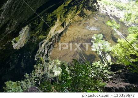 DEER Cave - Show cave tour at Gunung Mulu National Park 120359672