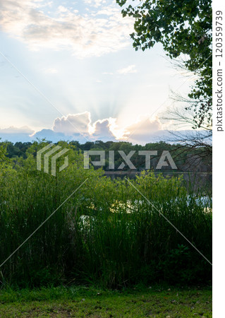 A stunning sunset and God's rays over a local MN lake with lots of greenery. 120359739