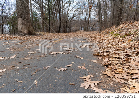 A paved walking path at a local Minnesota park surrounded by grass and trees. 120359751