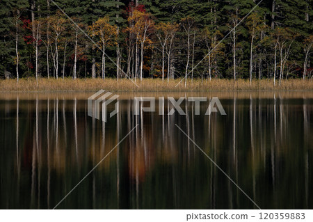 Beautiful autumn foliage at the hidden lake Onneto 120359883