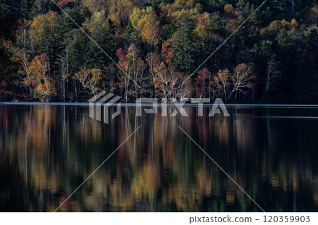 Beautiful autumn foliage at the hidden lake Onneto Beautiful autumn foliage at the hidden lake Onneto 120359903