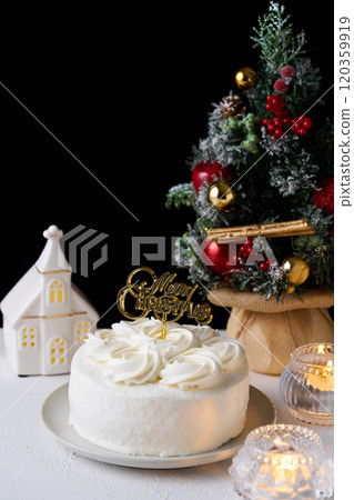 Christmas cake 120359919