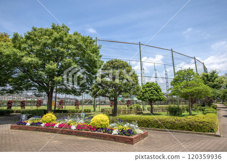 神奈川縣橫濱市金澤區富岡西富岡西公園 神奈川縣橫濱市金澤區富岡西富岡西公園 120359936