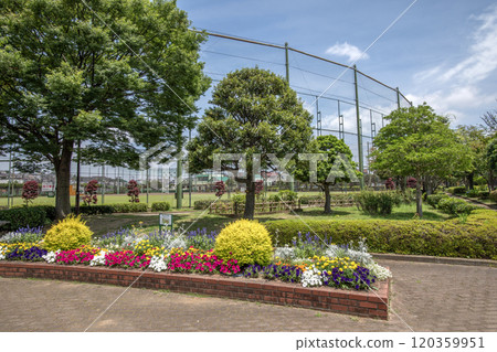 神奈川縣橫濱市金澤區富岡西富岡西公園 神奈川縣橫濱市金澤區富岡西富岡西公園 120359951