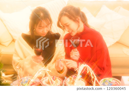 Two women toasting with wine at a home party 120360045