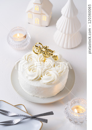 Christmas cake 120360065