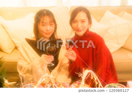 兩個女人在家庭聚會上敬酒 兩個女人在家庭聚會上敬酒 120360127