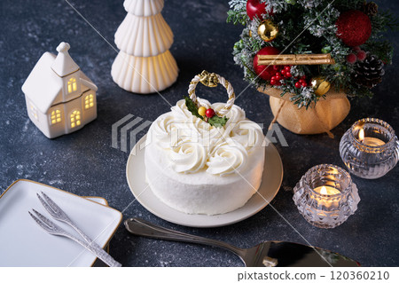 Christmas cake 120360210