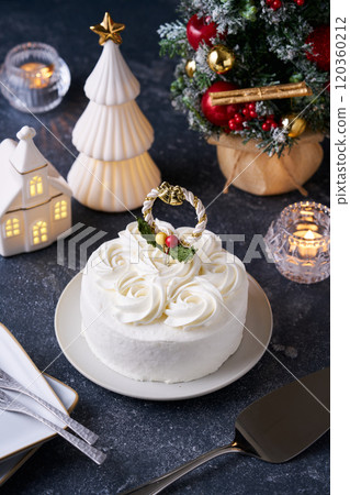 Christmas cake 120360212