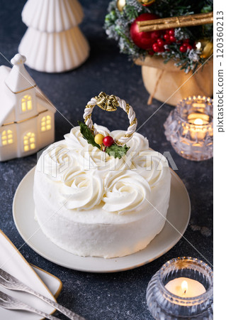 聖誕蛋糕 120360213