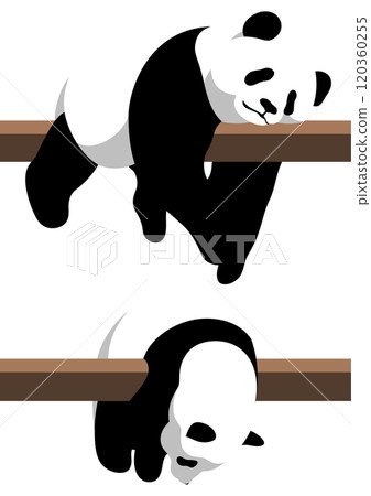 貓熊 貓熊 120360255